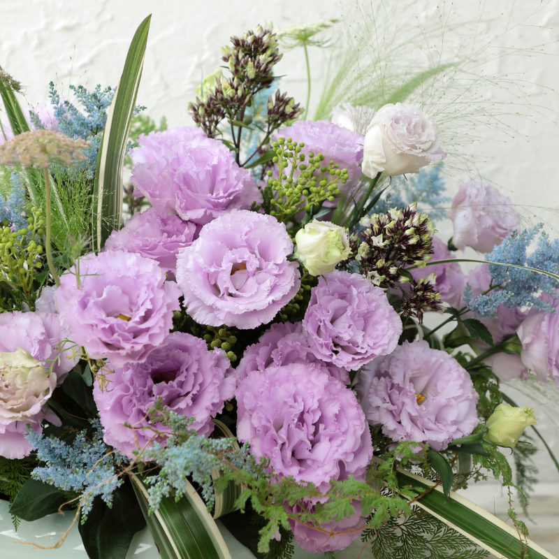 Lisianthus Voyage 2 Lavender